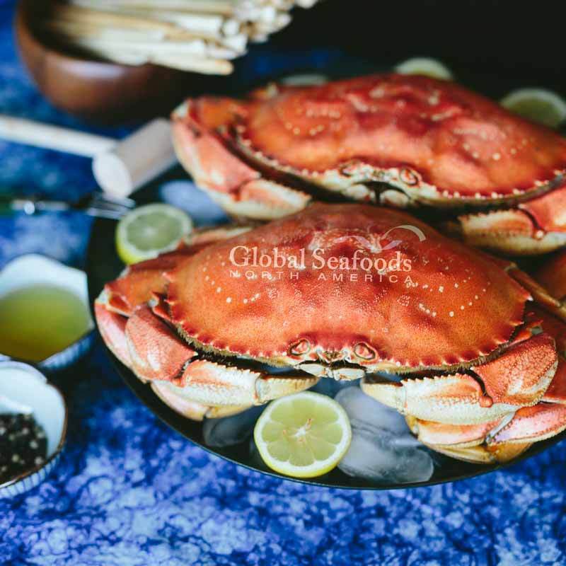 Premium Cooked Dungeness Crab for Sale - Whole, Nutritious, and Ready-to-Eat
