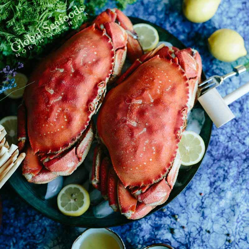 Premium Cooked Dungeness Crab for Sale - Whole, Nutritious, and Ready-to-Eat