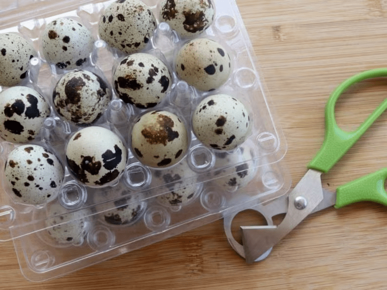 10 Dozen Farm Fresh n Tasty Organic Jumbo Quail Eggs