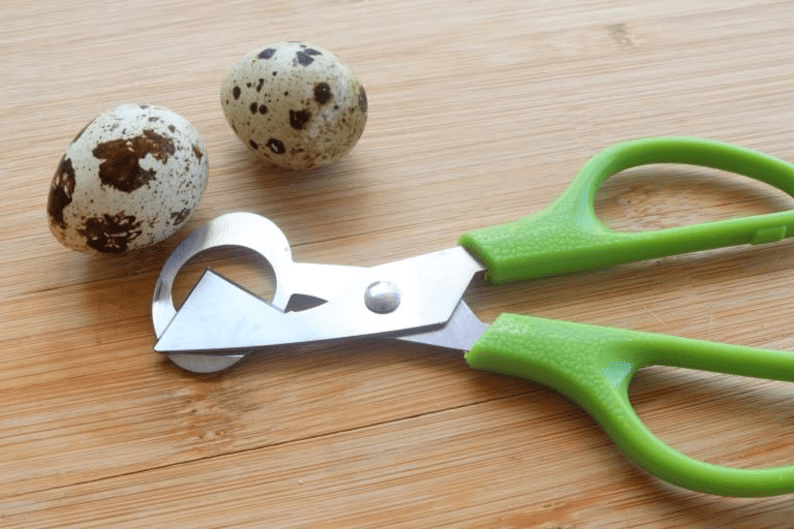 10 Dozen Farm Fresh n Tasty Organic Jumbo Quail Eggs