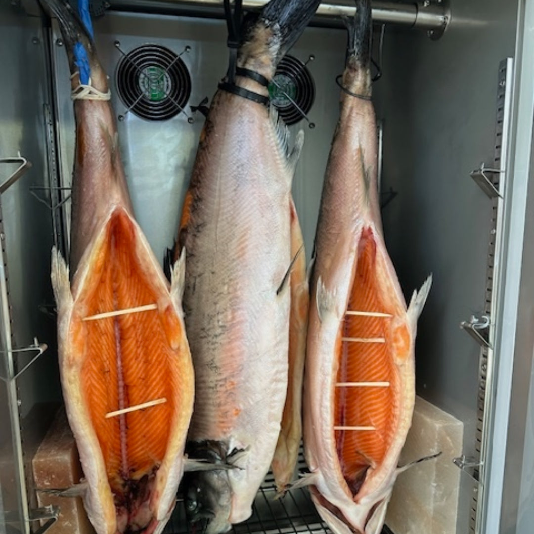 Ora King Salmon Dry Aged - Premium Flavor and Texture from Global Seafoods