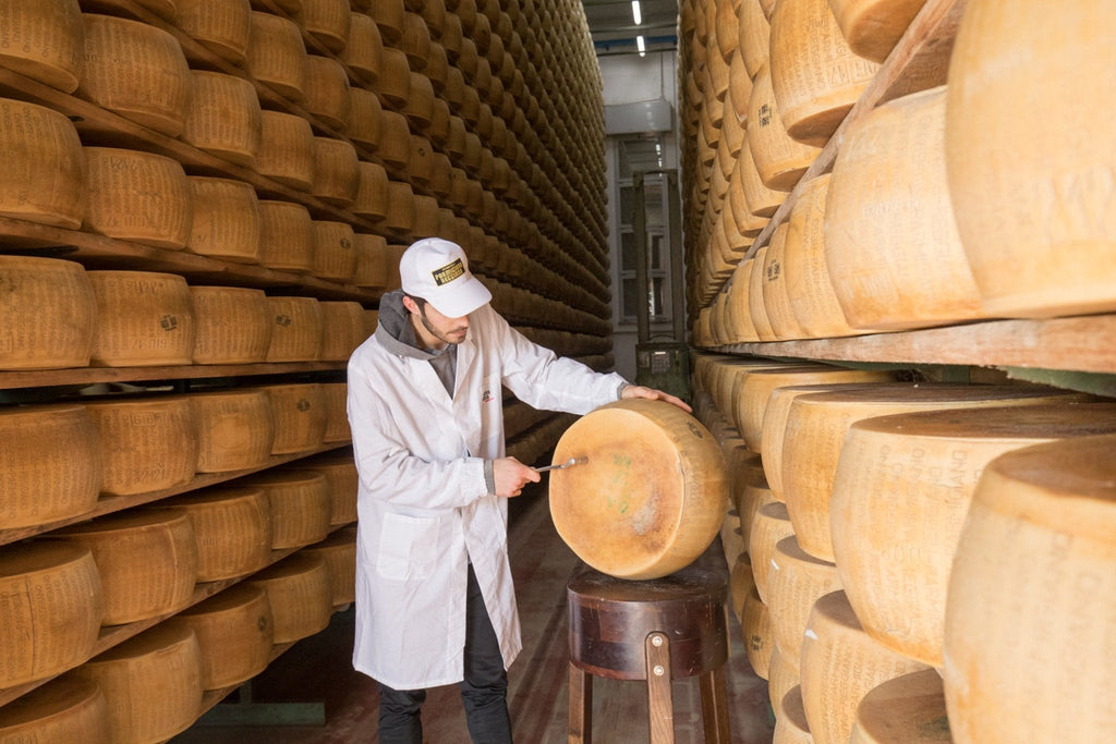 Parmigiano Reggiano DOP Mitica® 24 Month Paper Wrapped